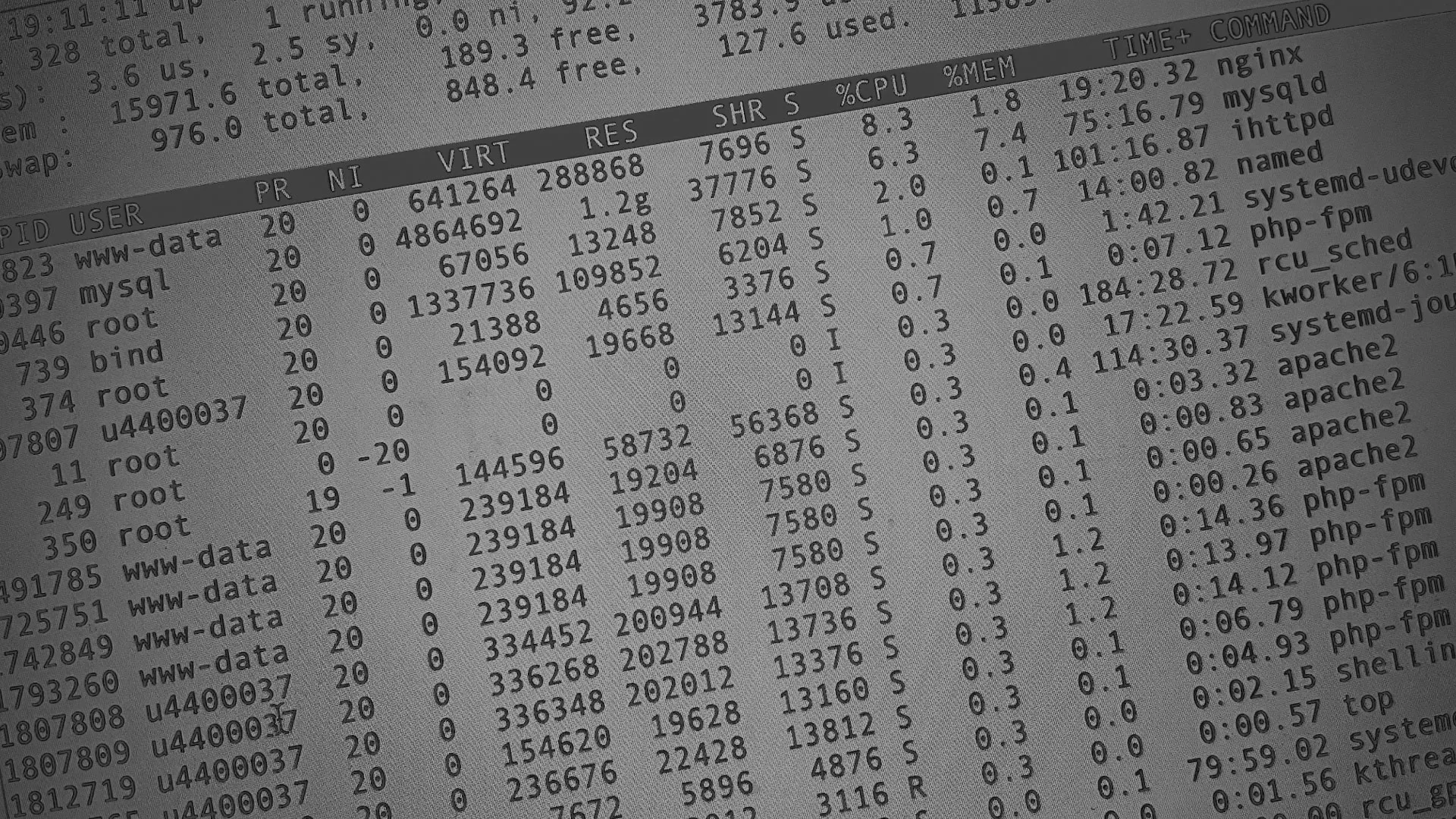 Настройка сервера в Луховицах