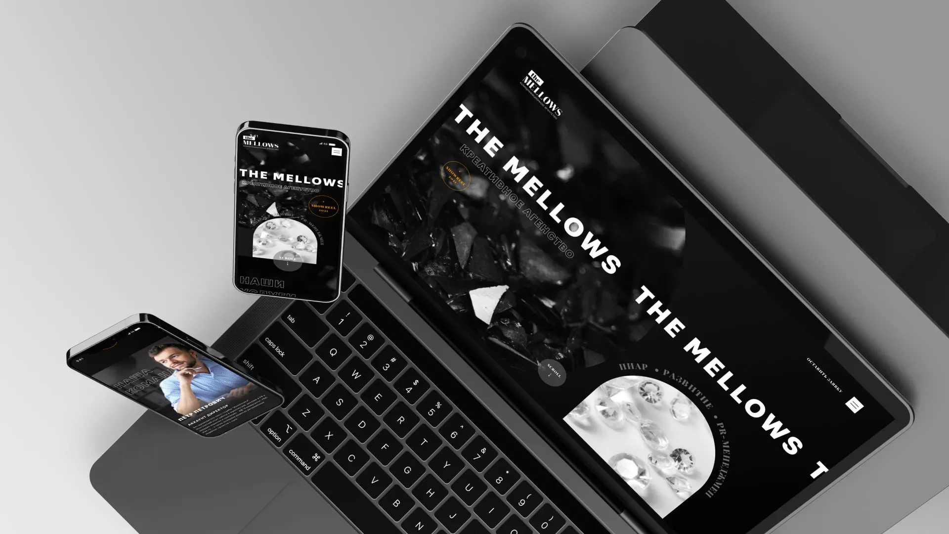 Разработка сайта креативного агентства «The Mellows» в Луховицах