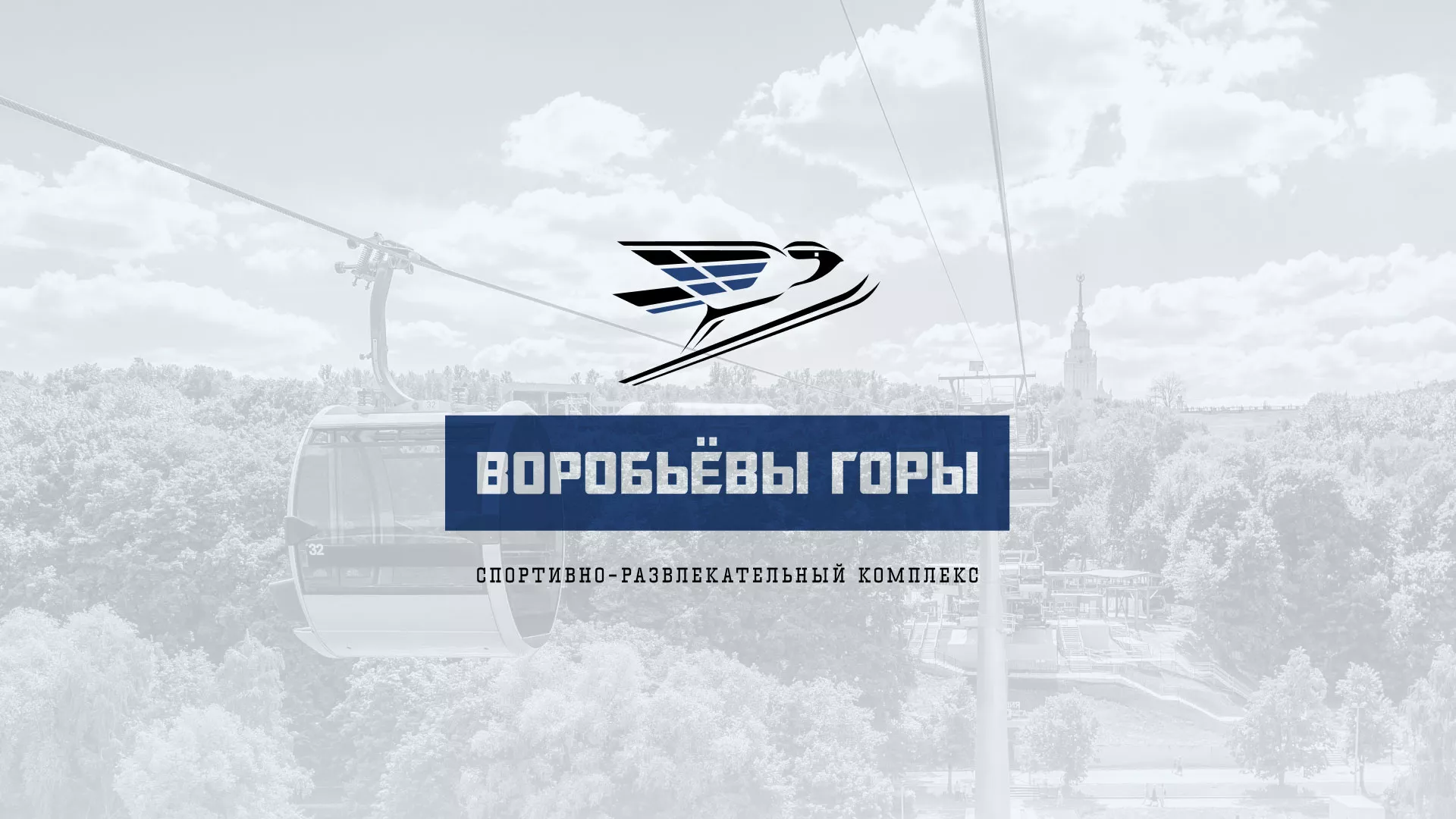 Разработка сайта в Луховицах для спортивно-развлекательного комплекса «Воробьёвы горы»